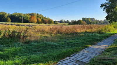 70 km od Szczecina działka budow - 2 km od Jezior - Tucze   -
Zachodniopomorskie Zdjęcie nr 5