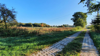 70 km od Szczecina działka budow - 2 km od Jezior - Tucze   -
Zachodniopomorskie Zdjęcie nr 6