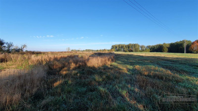 70 km od Szczecina działka budow - 2 km od Jezior - Tucze   -
Zachodniopomorskie Zdjęcie nr 8