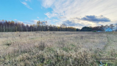 Działka budowlana w Silnowie-atrakcyjne położenie - Silnowo   -
Zachodniopomorskie Zdjęcie nr 14