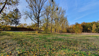 NA RATY działka budowlana 35 km od Koszalina - Głodowa   -
Zachodniopomorskie Zdjęcie nr 13