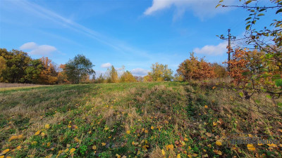 NA RATY działka budowlana 35 km od Koszalina - Głodowa   -
Zachodniopomorskie Zdjęcie nr 14