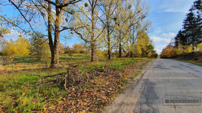 NA RATY działka budowlana 35 km od Koszalina - Głodowa   -
Zachodniopomorskie Zdjęcie nr 4