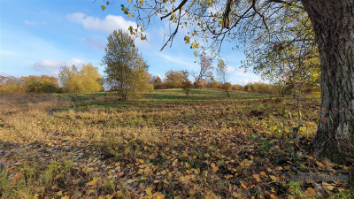 NA RATY działka budowlana 35 km od Koszalina - Głodowa   -
Zachodniopomorskie Zdjęcie nr 5