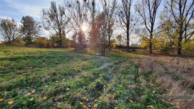 NA RATY działka budowlana 35 km od Koszalina - Głodowa   -
Zachodniopomorskie Zdjęcie nr 7