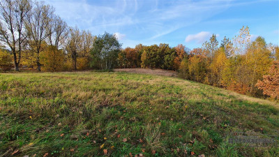 NA RATY działka budowlana 35 km od Koszalina - Głodowa   -
Zachodniopomorskie Zdjęcie nr 8