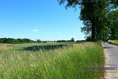 Działka budowlana blisko Kołobrzegu - Świecie Kołobrzeskie   -
Zachodniopomorskie Zdjęcie nr 10