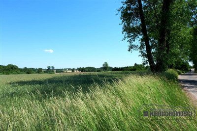 Działka budowlana blisko Kołobrzegu - Świecie Kołobrzeskie   -
Zachodniopomorskie Zdjęcie nr 12