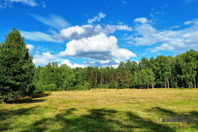 Działka budowlana położona pod lasem - Biskupice   -
Zachodniopomorskie Zdjęcie nr 11