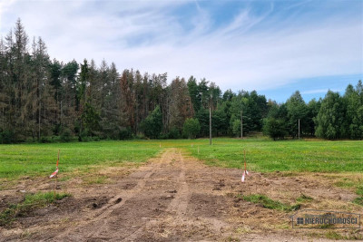 Działka budowlana położona pod lasem - Biskupice   -
Zachodniopomorskie Zdjęcie nr 5