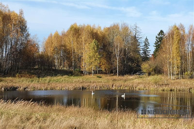 Ładnie położona działka na uboczu pod lasem - Przeradz   -
Zachodniopomorskie Zdjęcie nr 3