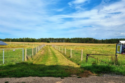 Działka letniskowa w pobliżu jeziora - Drężno   -
Zachodniopomorskie Zdjęcie nr 9