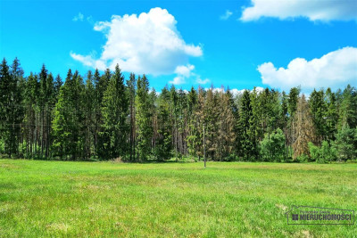 Działki budowlane położone pod lasem - Biskupice   -
Zachodniopomorskie Zdjęcie nr 12