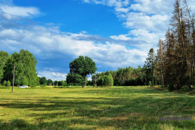 Działki budowlane położone pod lasem - Biskupice   -
Zachodniopomorskie Zdjęcie nr 7