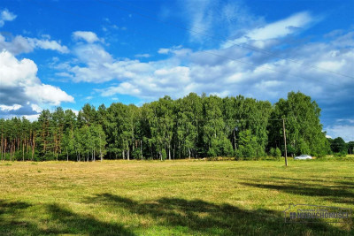 Działki budowlane położone pod lasem - Biskupice   -
Zachodniopomorskie Zdjęcie nr 8