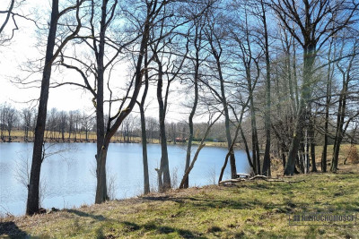 Brzeźno - działki przy jeziorach i lesie - Brzeźno   -
Zachodniopomorskie Zdjęcie nr 12