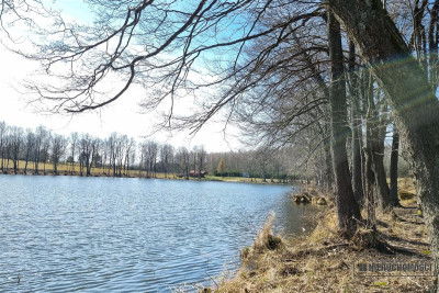 Brzeźno - działki przy jeziorach i lesie - Brzeźno   -
Zachodniopomorskie Zdjęcie nr 9