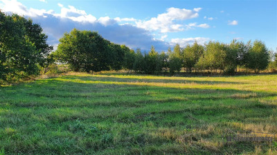 Tanie działki budowlane blisko Białogardu - Dargikowo   -
Zachodniopomorskie Zdjęcie nr 10