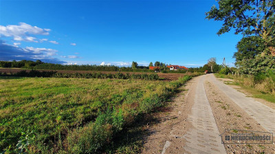 Tanie działki budowlane blisko Białogardu - Dargikowo   -
Zachodniopomorskie Zdjęcie nr 13