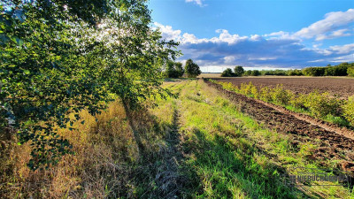 Tanie działki budowlane blisko Białogardu - Dargikowo   -
Zachodniopomorskie Zdjęcie nr 14