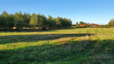 Tanie działki budowlane blisko Białogardu - Dargikowo   -
Zachodniopomorskie Zdjęcie nr 4