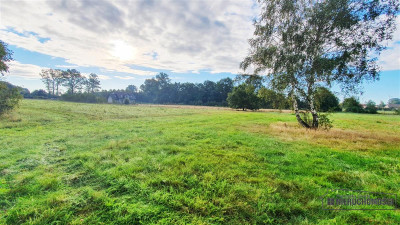 Tanie działki budowlane blisko Bałtyku ok 40 od K - Kościernica   -
Zachodniopomorskie Zdjęcie nr 10