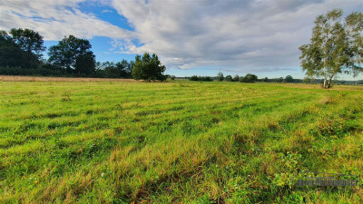 Tanie działki budowlane blisko Bałtyku ok 40 od K - Kościernica   -
Zachodniopomorskie Zdjęcie nr 13