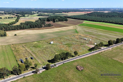 Działka letniskowa w pobliżu jeziora - Drężno   -
Zachodniopomorskie Zdjęcie nr 4