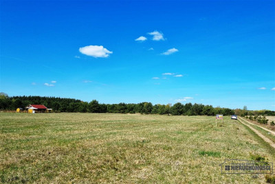 Działki budowlane w pobliżu jeziora Dołgie - Dołgie   -
Zachodniopomorskie Zdjęcie nr 11