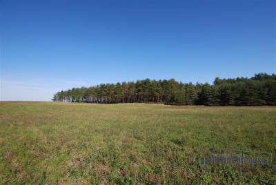 Działki budowlane w Trzesiece atrakcyjne położenie - Szczecinek Trzesieka  -
Zachodniopomorskie Zdjęcie nr 6