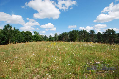 Duża działka w Drzewianach w gm Bobolice - Drzewiany   -
Zachodniopomorskie Zdjęcie nr 4