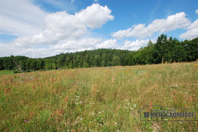 Duża działka w Drzewianach w gm Bobolice - Drzewiany   -
Zachodniopomorskie Zdjęcie nr 5