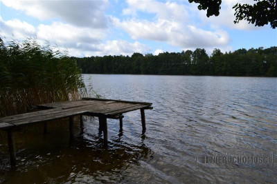 Działka nad Jeziorem Świdno-Sarcze - Przyjezierze   -
Zachodniopomorskie Zdjęcie nr 12