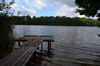 Działka nad Jeziorem Świdno-Sarcze - Przyjezierze   -
Zachodniopomorskie Zdjęcie nr 13