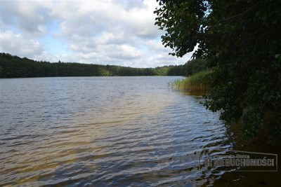 Działka nad Jeziorem Świdno-Sarcze - Przyjezierze   -
Zachodniopomorskie Zdjęcie nr 14