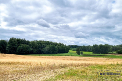 Działka na wzniesieniu z pięknym widokiem - Knyki   -
Zachodniopomorskie Zdjęcie nr 7