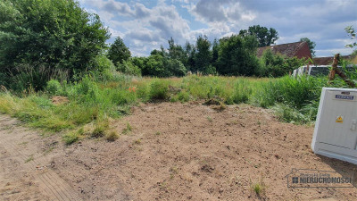 Działka w pobliżu Jeziora Pile - Silnowo   -
Zachodniopomorskie Zdjęcie nr 7