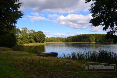 Działka w okolicy Jeziora Pile - Silnowo   -
Zachodniopomorskie Zdjęcie nr 10