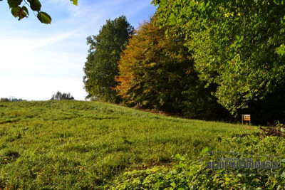 Działka w okolicy Jeziora Pile - Silnowo   -
Zachodniopomorskie Zdjęcie nr 2