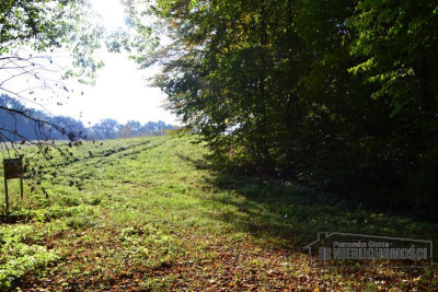 Działka w okolicy Jeziora Pile - Silnowo   -
Zachodniopomorskie Zdjęcie nr 4