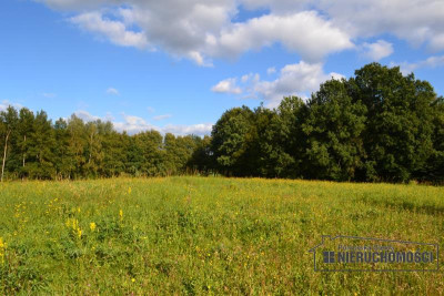 Działka zabudowy zagrodowej z własnym lasem - Silnowo   -
Zachodniopomorskie Zdjęcie nr 13