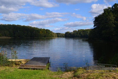 Działka zabudowy zagrodowej z własnym lasem - Silnowo   -
Zachodniopomorskie Zdjęcie nr 9