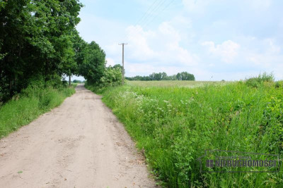 Siedlisko do zabudowy - miejsce na kolonii miejsco - Łubowo   -
Zachodniopomorskie Zdjęcie nr 9