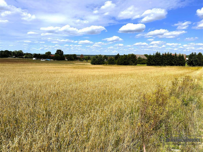 Duże działki budowlane - Nowy Chwalim gm Barwice - Nowy Chwalim   -
Zachodniopomorskie Zdjęcie nr 10