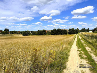 Duże działki budowlane - Nowy Chwalim gm Barwice - Nowy Chwalim   -
Zachodniopomorskie Zdjęcie nr 11