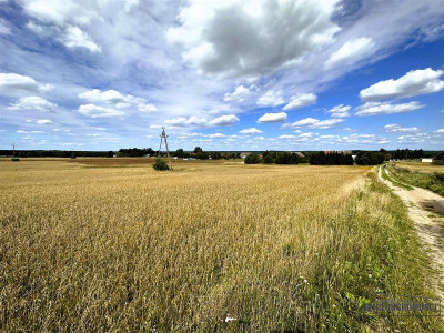 Duże działki budowlane - Nowy Chwalim gm Barwice - Nowy Chwalim   -
Zachodniopomorskie Zdjęcie nr 9