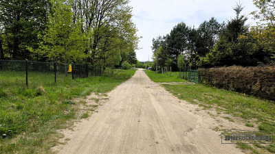 Działka budowlana w pobliżu jeziora Pile - Piława   -
Zachodniopomorskie Zdjęcie nr 14
