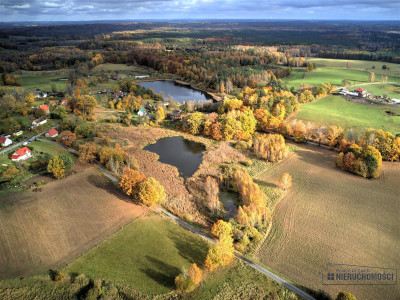 Duża działka siedliskowa ze stawem - Kusowo   -
Zachodniopomorskie Zdjęcie nr 2