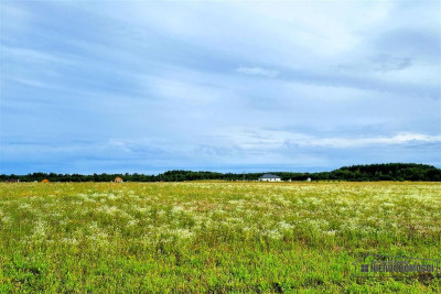 Działki rekreacyjne w okolicy jeziora Dołgie - Dołgie  -
Zachodniopomorskie Zdjęcie nr 11