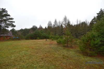 Działka budowlana z altaną blisko jeziora i przy l - Dołgie   -
Zachodniopomorskie Zdjęcie nr 6